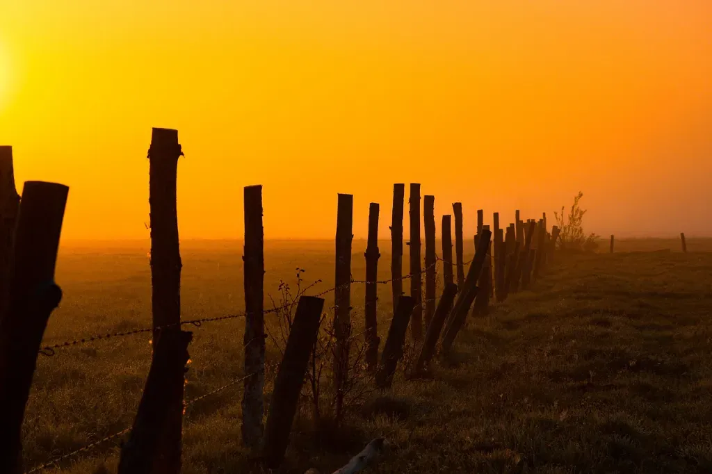 Jakie paliki do pastucha wybrać